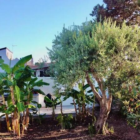 Villa Mare Blue Sr Nuovissima Villa 150M Dal Mare Adatta A Bambini Terrauzza Exteriér fotografie