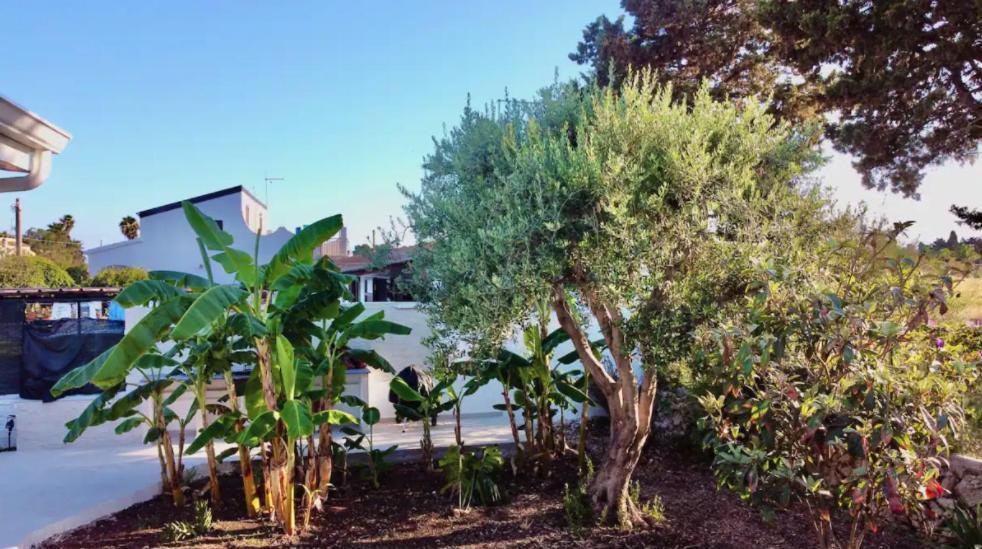 Villa Mare Blue Sr Nuovissima Villa 150M Dal Mare Adatta A Bambini Terrauzza Exteriér fotografie